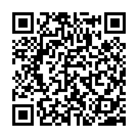QR code for SGY038