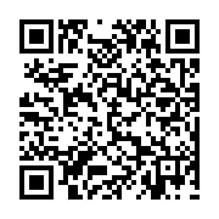 QR code for SHG386