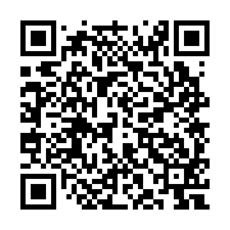 QR code for SHO393