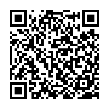 QR code for SIA655