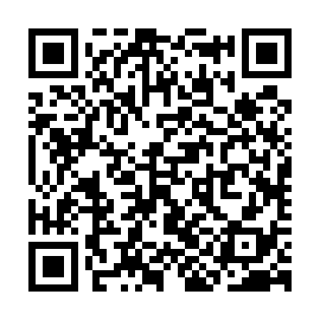 QR code for SIB538