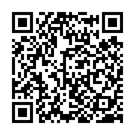 QR code for SIC619