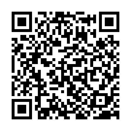 QR code for SIG218