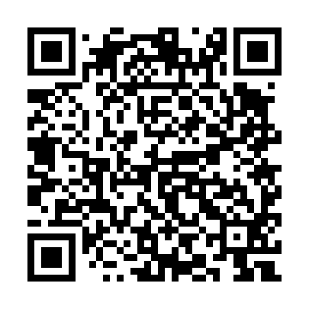 QR code for SIG492
