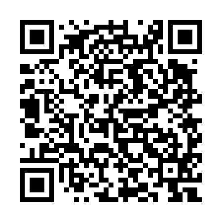 QR code for SIG495