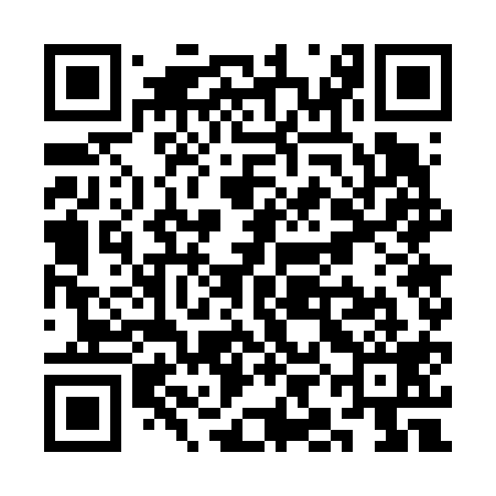 QR code for SIG619