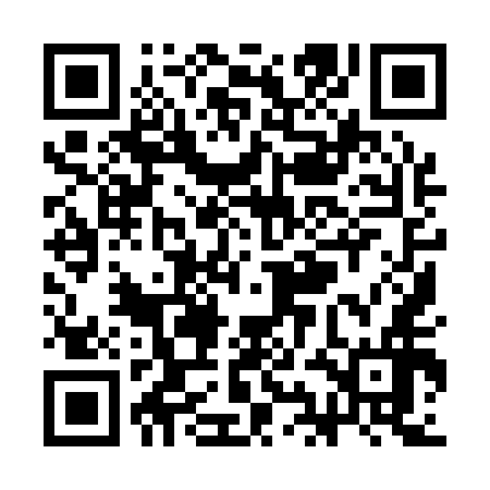 QR code for SII156