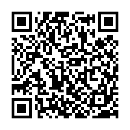 QR code for SII417