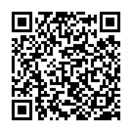 QR code for SII601