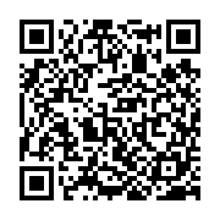 QR code for SII655