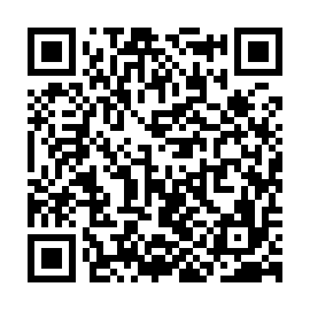 QR code for SII916