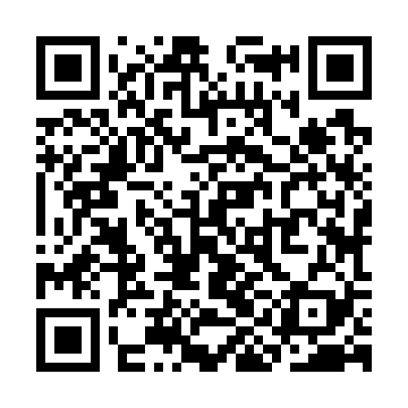 QR code for SIJ729