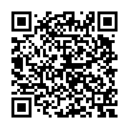 QR code for SIM411