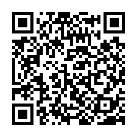 QR code for SIM738
