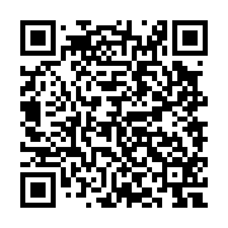 QR code for SIN016