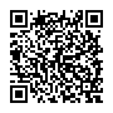 QR code for SIN195
