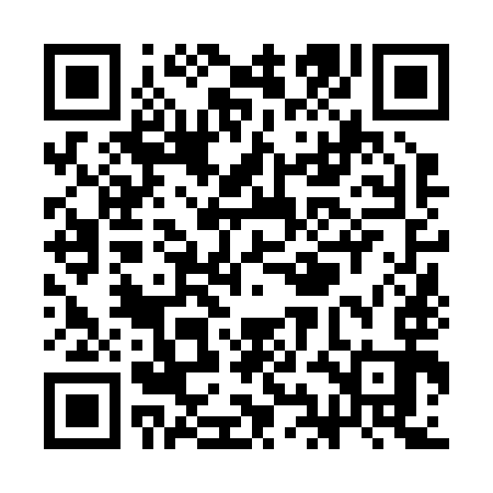 QR code for SIN293