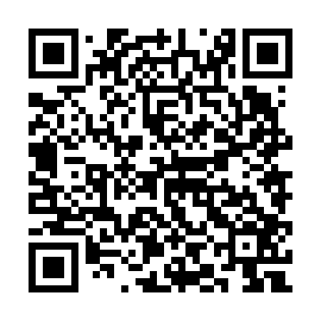 QR code for SIN606