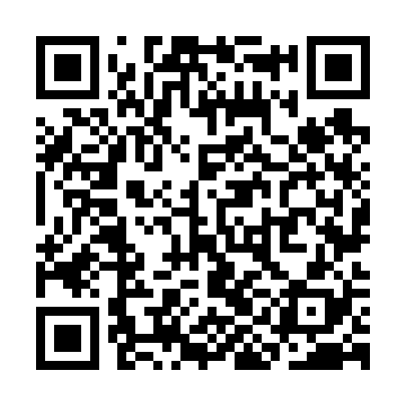 QR code for SIN628