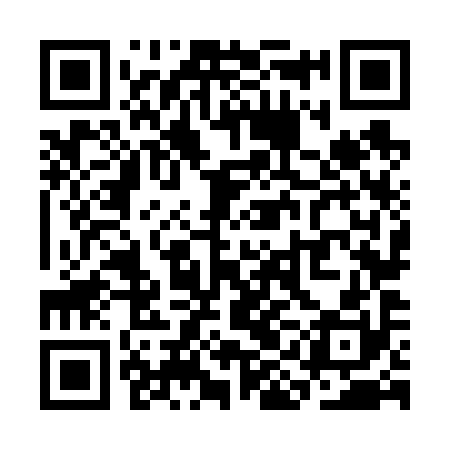 QR code for SIN690