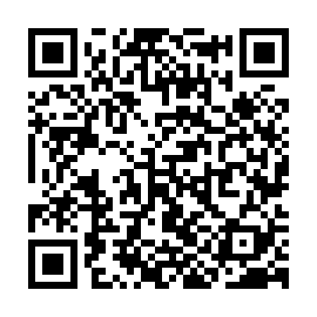 QR code for SIN829