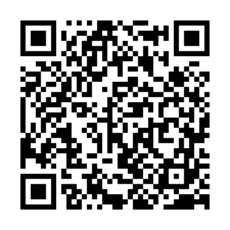 QR code for SIN863