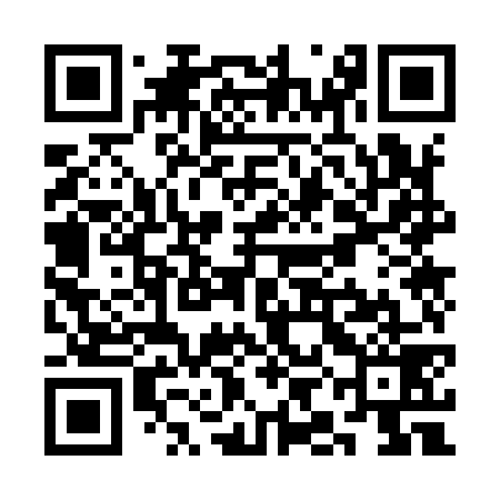 QR code for SIO979