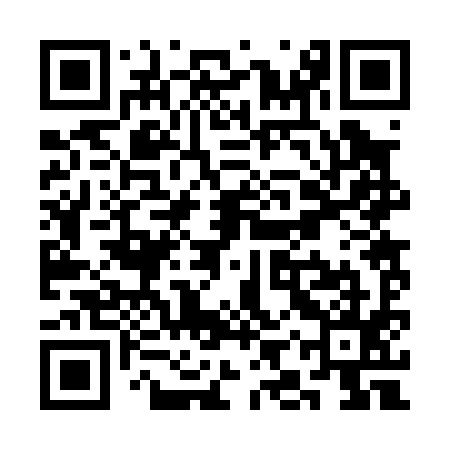 QR code for SIR095