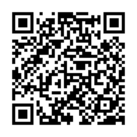 QR code for SIS028