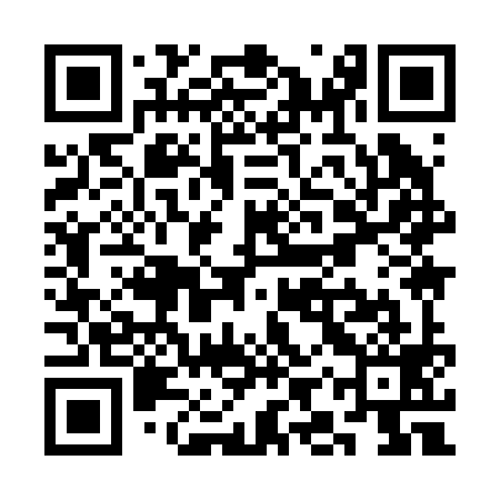 QR code for SIY299