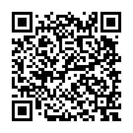 QR code for SIZ491