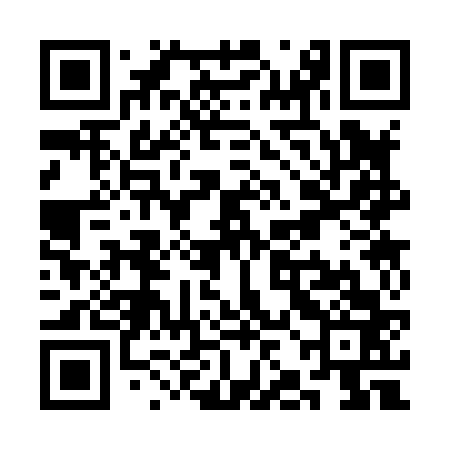 QR code for SJC863