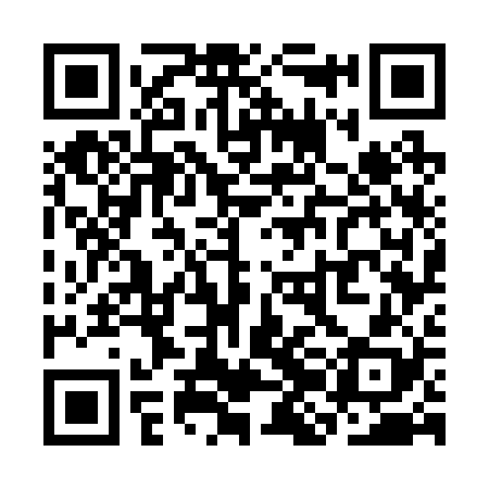 QR code for SJG228