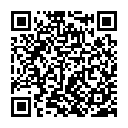 QR code for SJG385