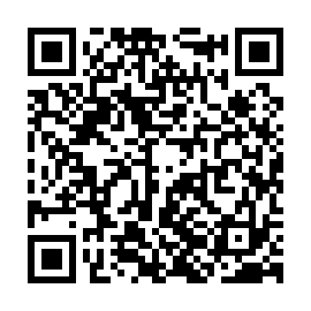 QR code for SJI133