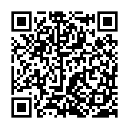 QR code for SJJ241