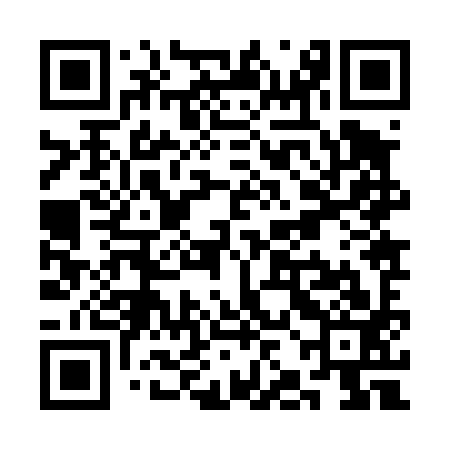 QR code for SJJ493