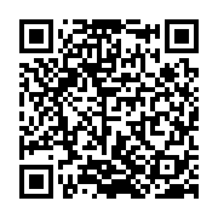 QR code for SJK379