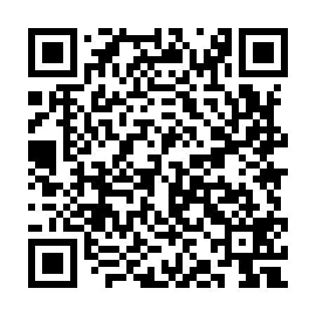 QR code for SJM919