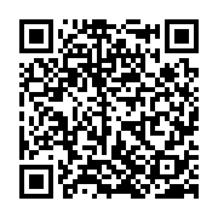 QR code for SJN378
