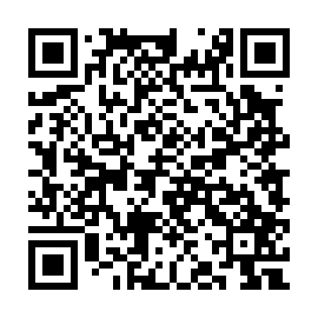QR code for SJT007
