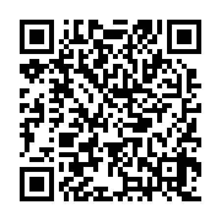 QR code for SJT238