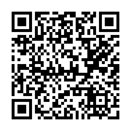 QR code for SJW919