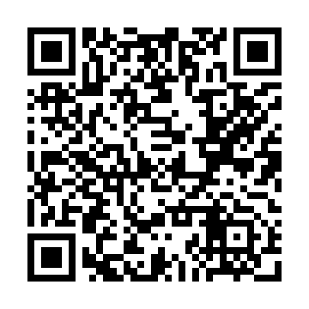 QR code for SJX953