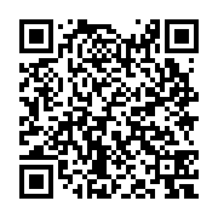 QR code for SJY338