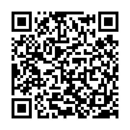 QR code for SJY633