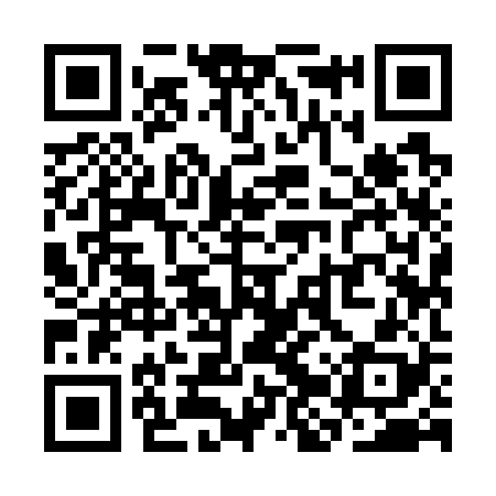 QR code for SJY728