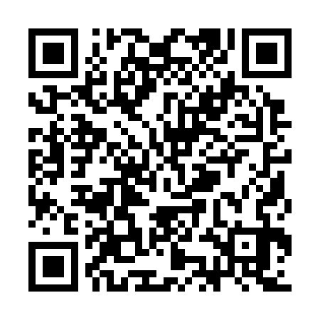 QR code for SKA333