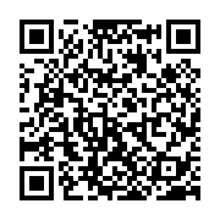 QR code for SKF039