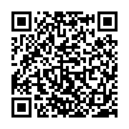 QR code for SKF233
